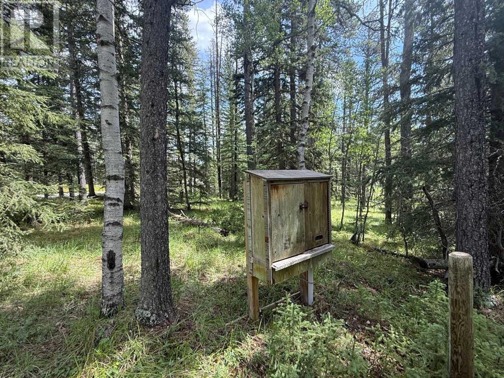 24 Pears Road, Waiparous, Alberta T4C1B7