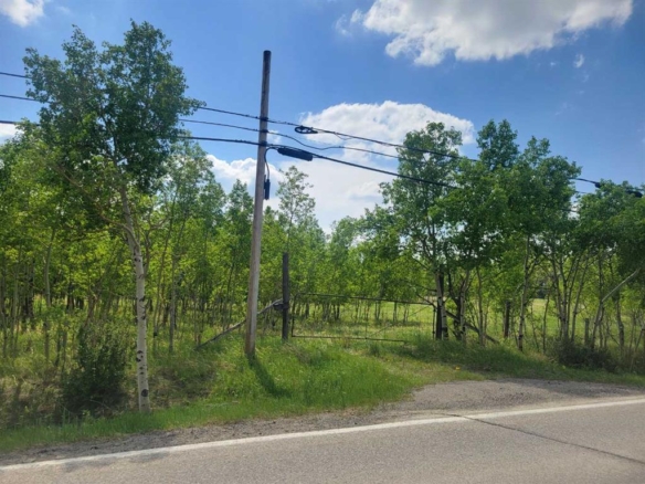 24166 Old Banff Coach Road, Rural Rocky View County, Alberta, T3Z 3N4